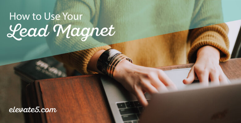 How to Use Your Lead Magnet